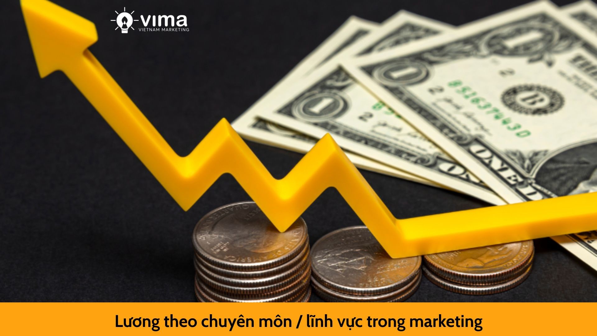 Lương theo chuyên môn / lĩnh vực trong marketing