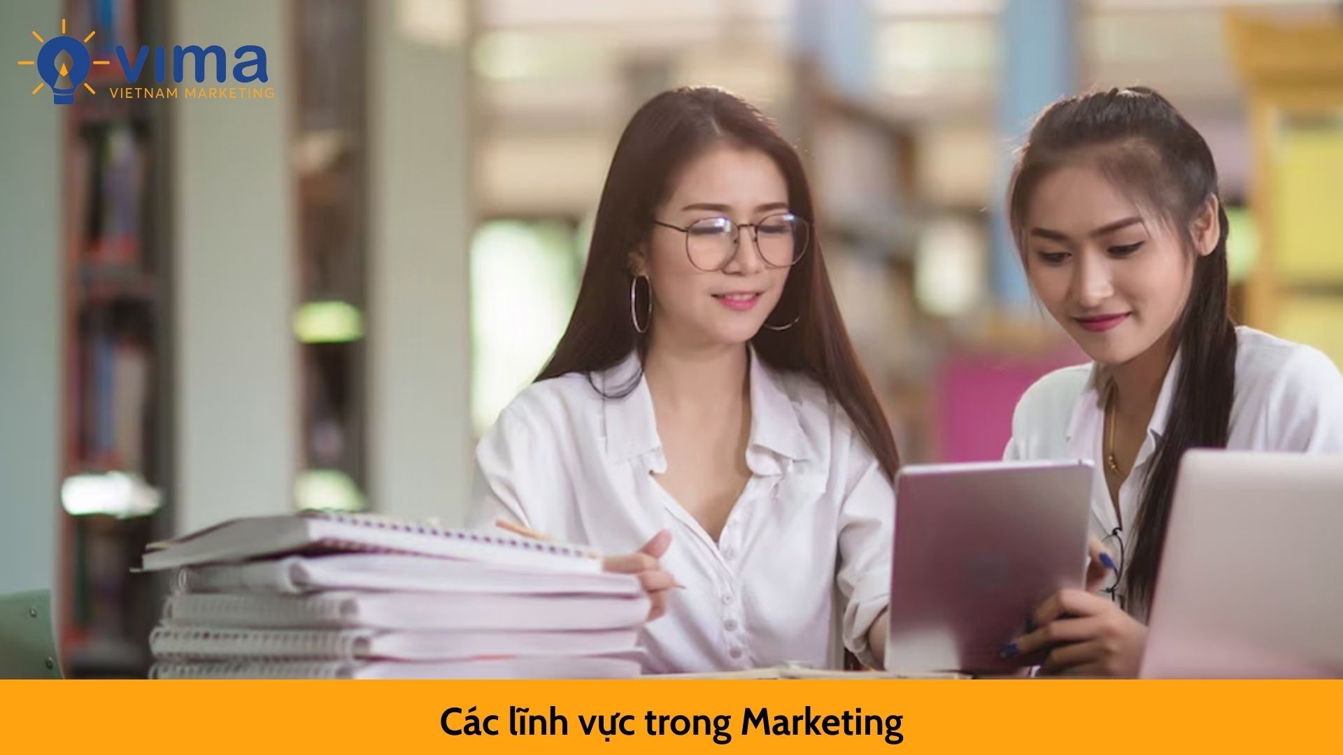 Các lĩnh vực trong Marketing