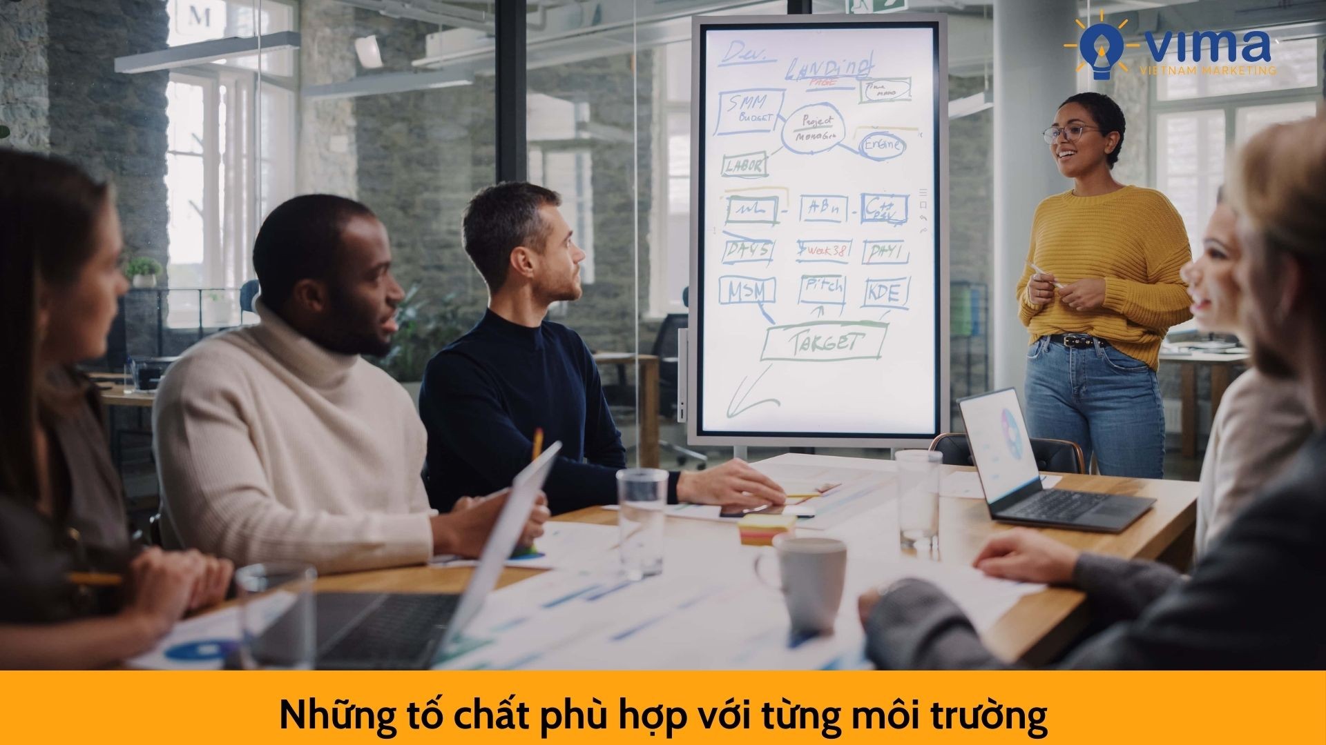 Những tố chất phù hợp với từng môi trường