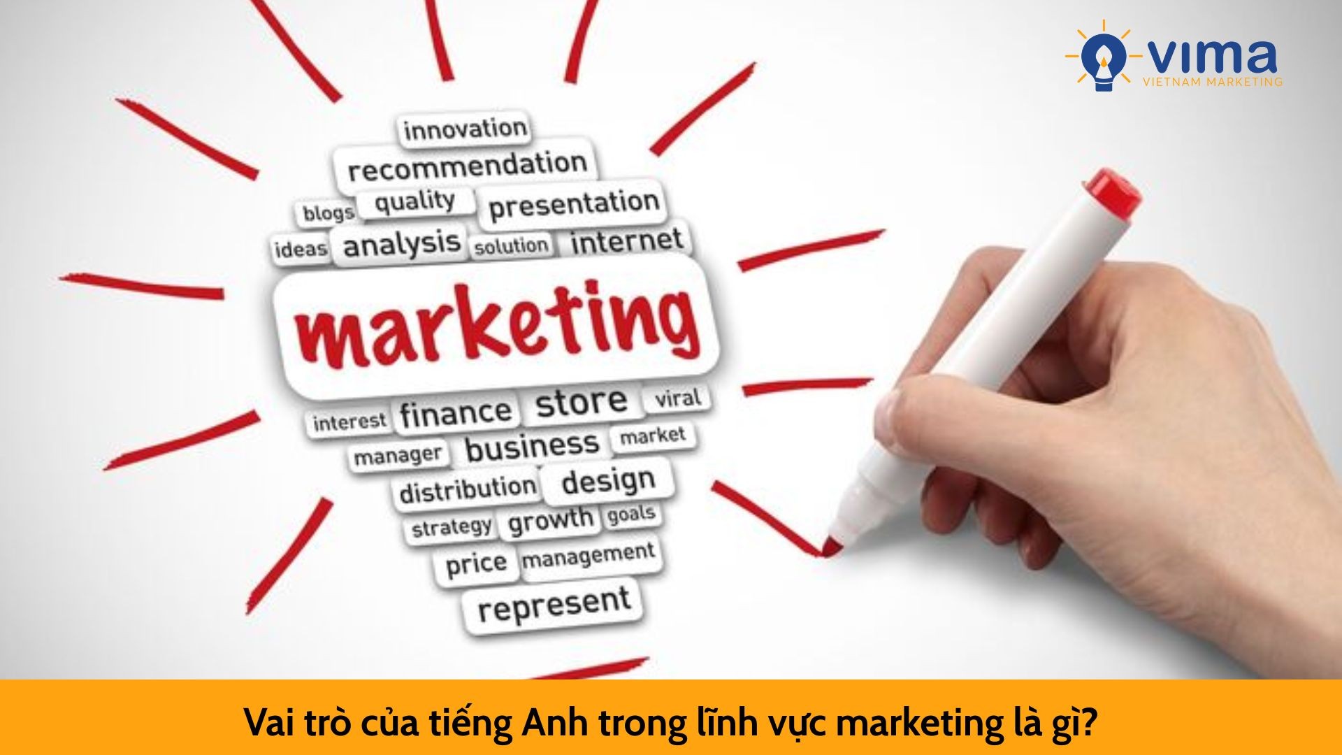 Vai trò của tiếng Anh trong lĩnh vực marketing là gì?