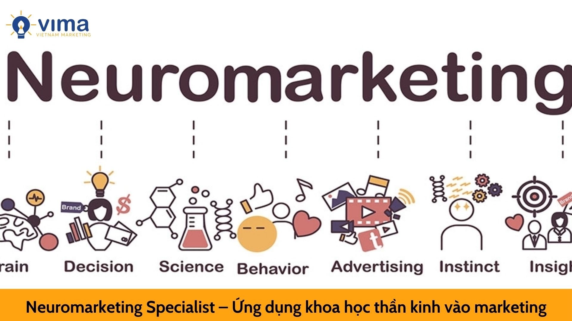 Neuromarketing Specialist – Ứng dụng khoa học thần kinh vào marketing