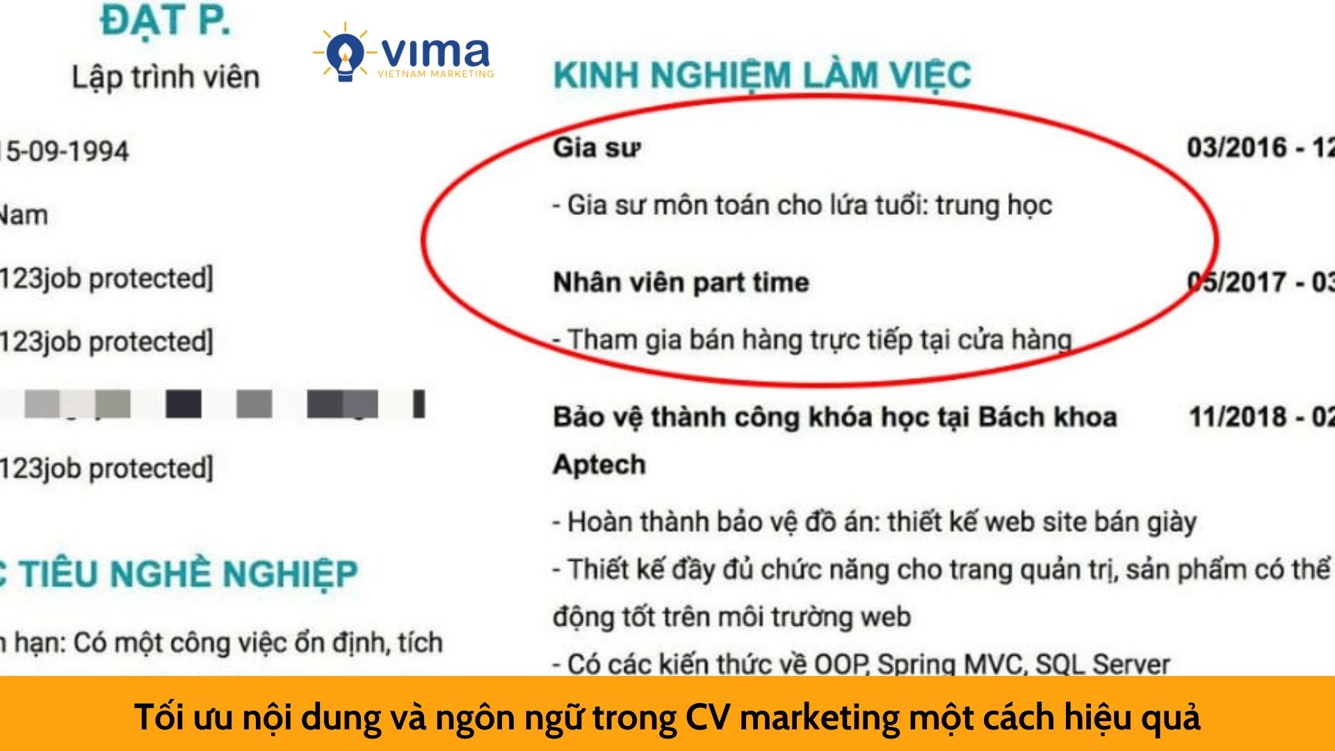 Tối ưu nội dung và ngôn ngữ trong CV marketing một cách hiệu quả