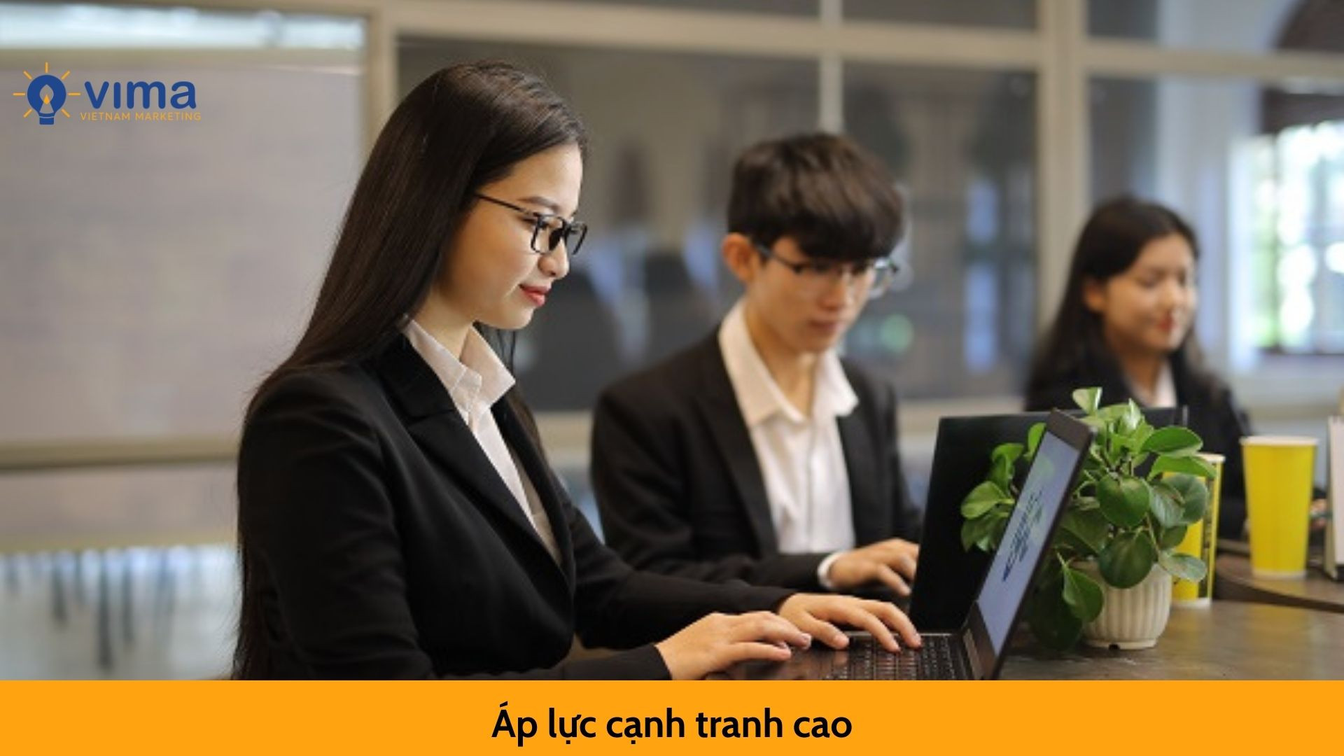 Áp lực cạnh tranh cao