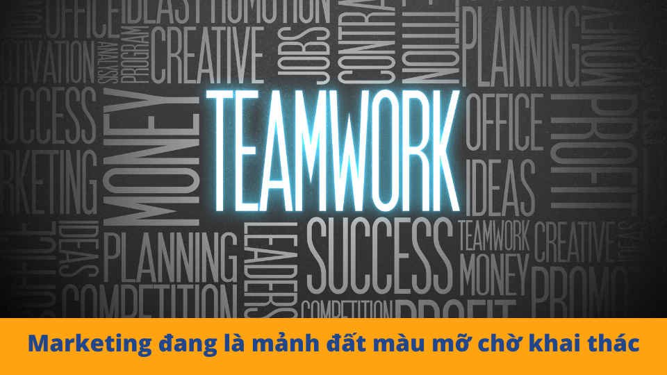 Ngành Marketing - Lương cao nhưng không nhàn