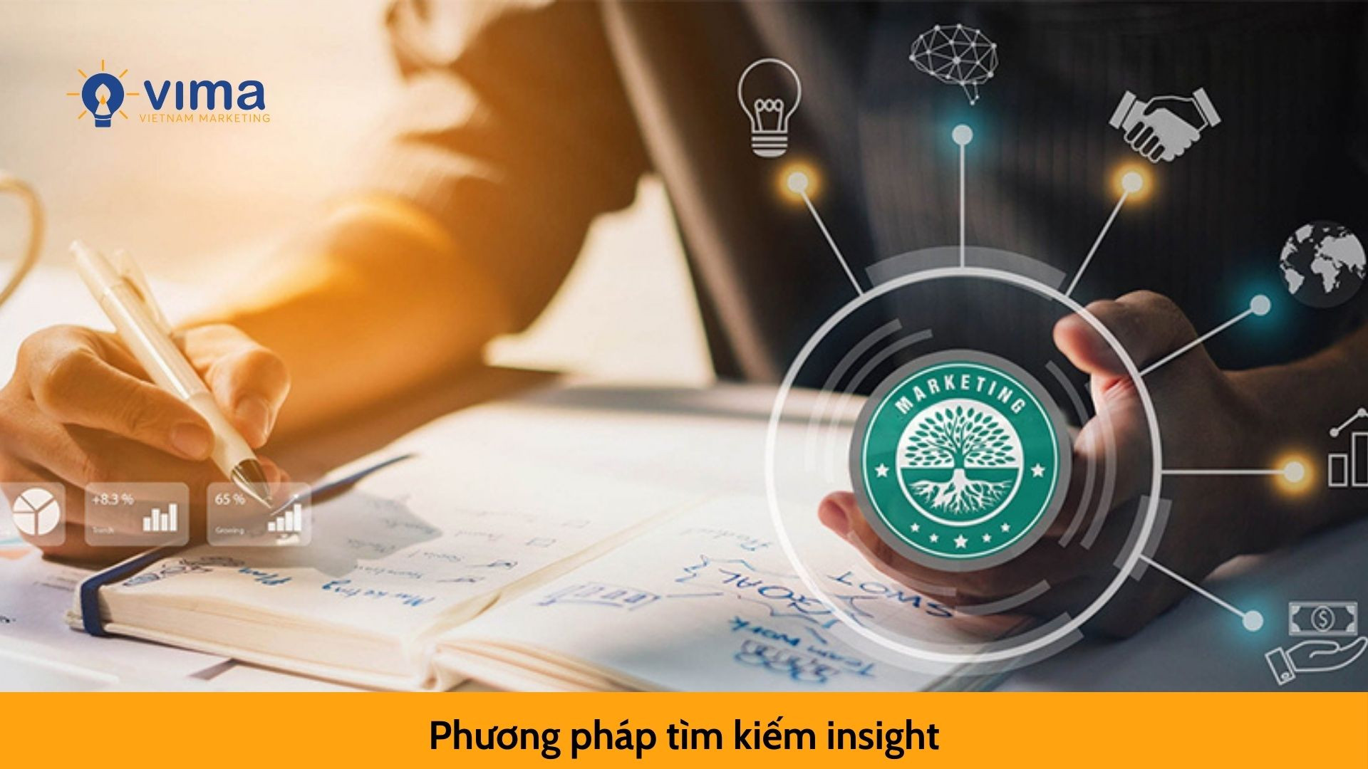 Phương pháp tìm kiếm insight