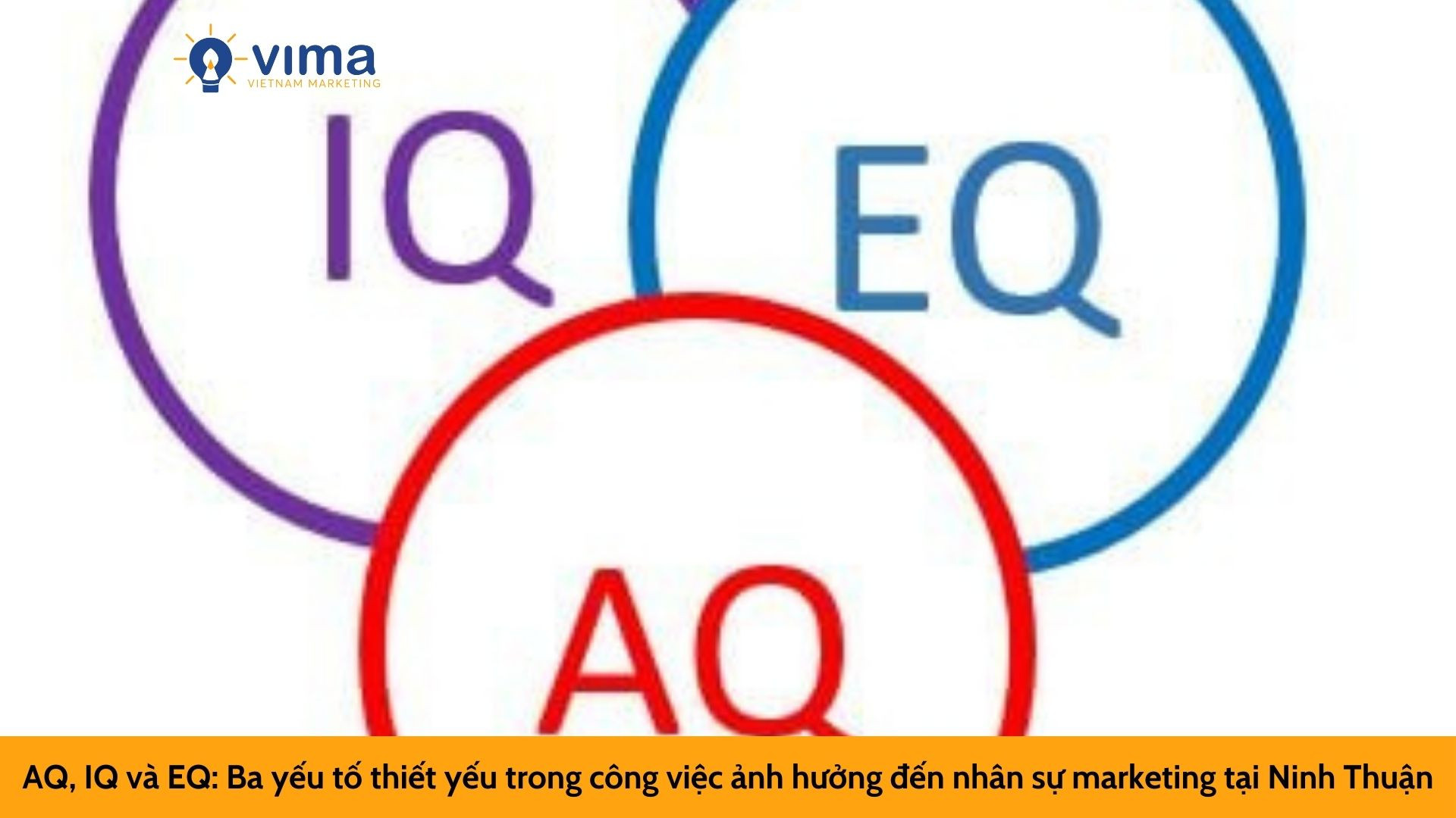 AQ, IQ và EQ: Ba yếu tố thiết yếu trong công việc ảnh hưởng đến nhân sự marketing tại Ninh Thuận