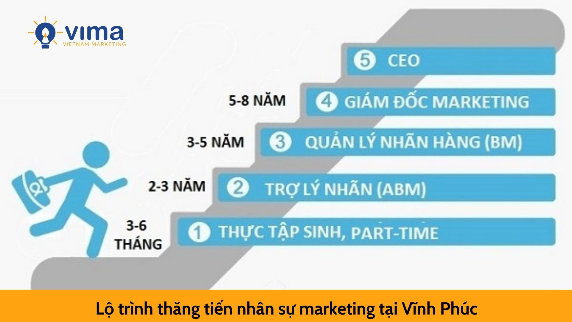Lộ trình thăng tiến của nhân sự Marketing tại Vĩnh Phúc
