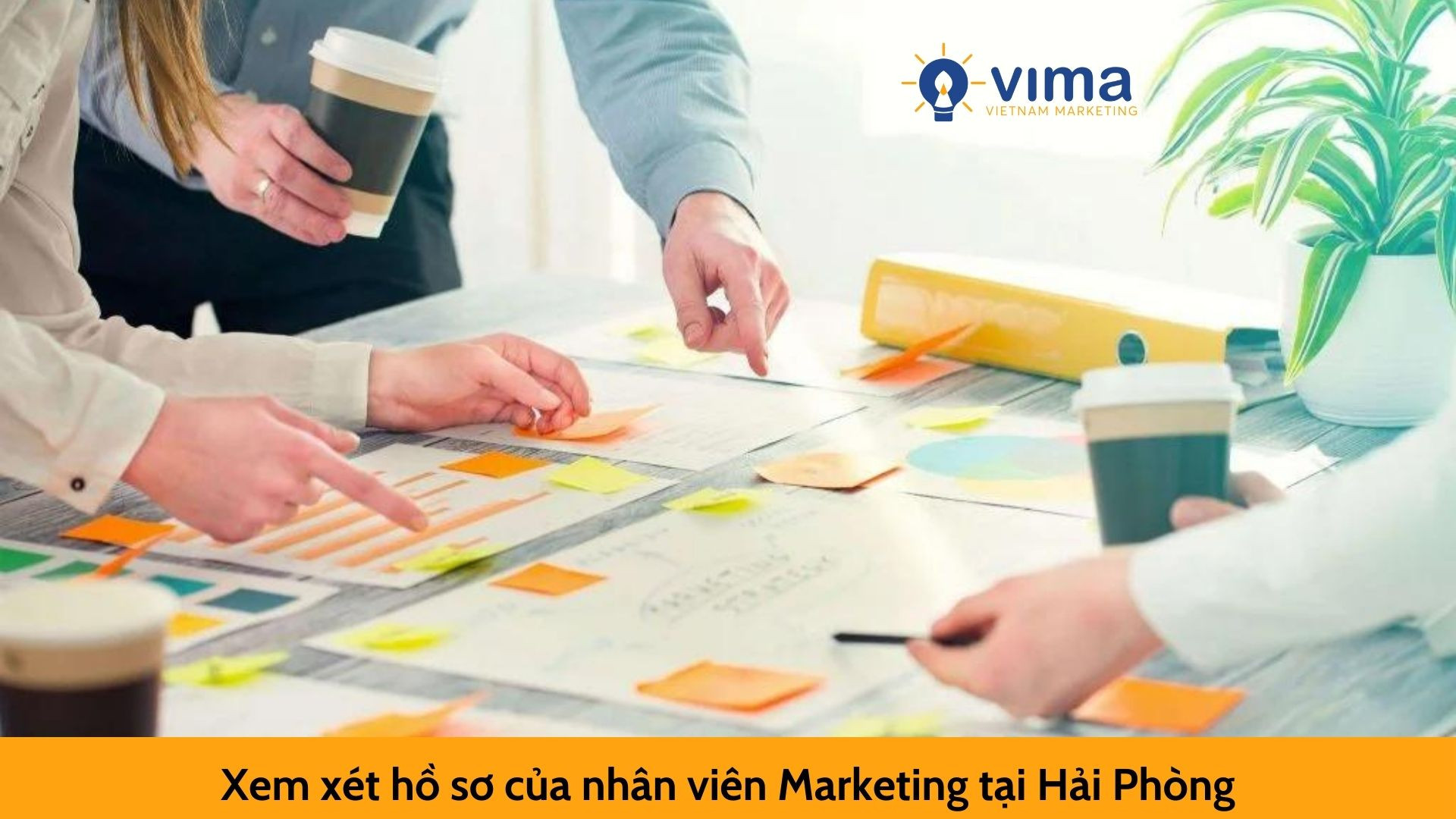 Xem xét hồ sơ của nhân viên Marketing tại Hải Phòng