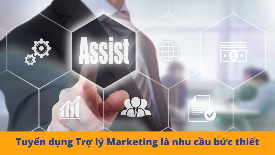 tuyen dung tro ly marketing tai Ha Tinh kinh nghiem
